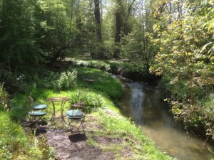 Cours de tai chi et de qi gong à Lasne, Brabant Wallon