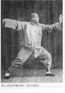 yang chen fu, tai chi, bruxelles, brussels, brussel, lasne, qi, gong, meditation, taoiste, auderghem, oudergem, waterloo, rixensart, taichi enfant