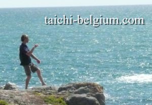 tai chi, bruxelles, brussels, brussel, lasne, qi, gong, meditation, taoiste, auderghem, oudergem, waterloo, rixensart, taichi enfant, entreprise, gestion du stress