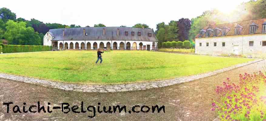 cours tai chi, bruxelles, brussels, brussel, lasne, qi, gong, meditation, taoiste, auderghem, oudergem, waterloo, louvain-la-neuve, rixensart, taichi enfant, entreprise, gestion du stress, video, burn out, méditation pleine conscience