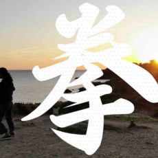 cours tai chi, bruxelles, brussels, brussel, lasne, qi, gong, meditation, taoiste, auderghem, oudergem, waterloo, louvain-la-neuve, rixensart, taichi enfant, entreprise, gestion du stress, video, burn out, méditation pleine conscience