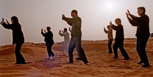 cours tai chi (taiji) qi gong, , bruxelles, brussels, brussel, lasne, qi, gong, meditation, taoiste, auderghem, oudergem, waterloo,  louvain-la-neuve, rixensart, brabant wallon, belgique, taichi enfant, entreprise, gestion du stress, video, burn out, méditation pleine conscience